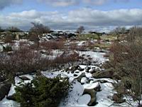 06 Paa vandretur naer Hammersoeen.jpg